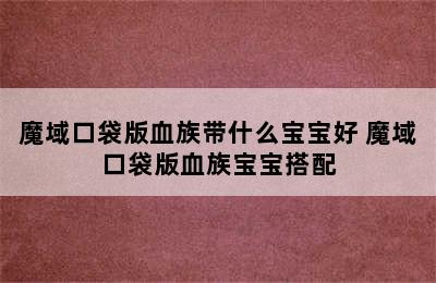 魔域口袋版血族带什么宝宝好 魔域口袋版血族宝宝搭配